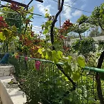 Διαμέρισμα Emy's Χειμάρρα