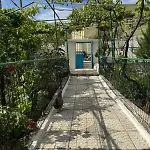 Emy's Χειμάρρα
