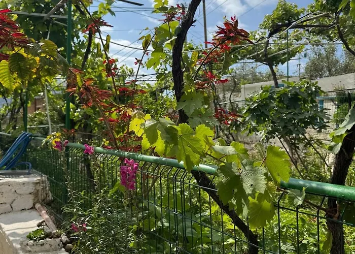 Apartmán Emy's Himarë